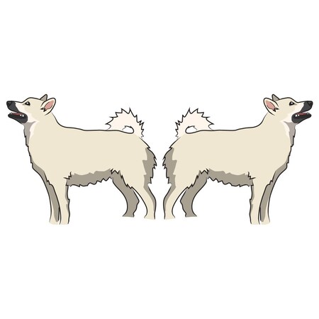 Signmission Norwegian Buhund Dog Decal, Dog Lover Decor Vinyl Sticker D-18-Norwegian Buhund